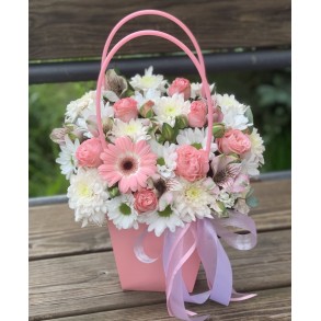 Сумочка №1472